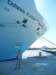 thanniversaryreunionandcruise201223_small.jpg