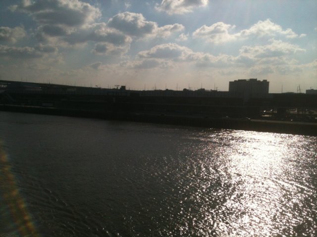 thanniversaryreunionandcruise201259.jpg