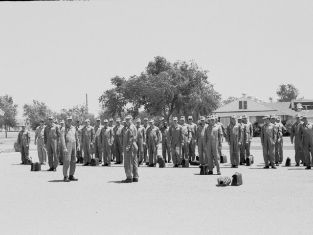 photosfrom19616239.jpg