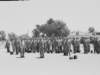 photosfrom19616239_small.jpg